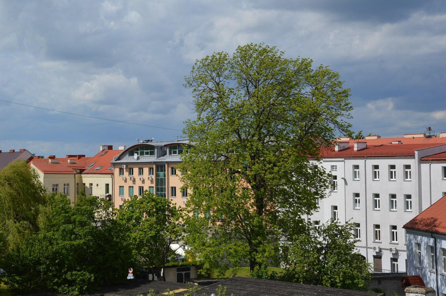 Pokoje Goscinne Centrum Kultury Prawoslawnej Bialystok Ngoại thất bức ảnh